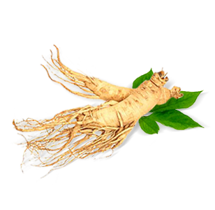 5.png